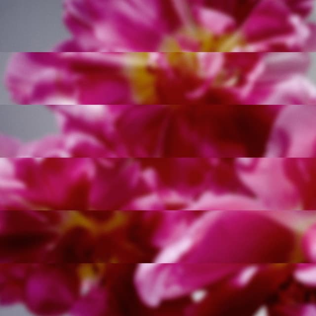 春はﾄﾜに目覚める - Ver.2-Vocal:UA