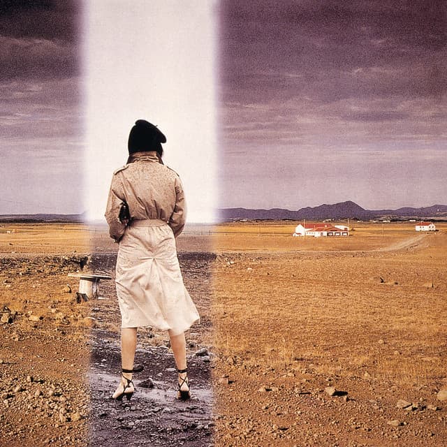 守ってあげたい