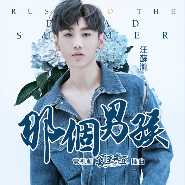 那個男孩 - 電視劇夏至未至插曲