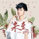 未至 - 電視劇夏至未至插曲