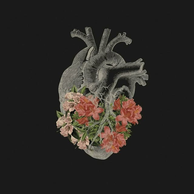 A Casa É Sua - Ao Vivo