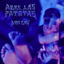 ABRE LAS PATOTAS