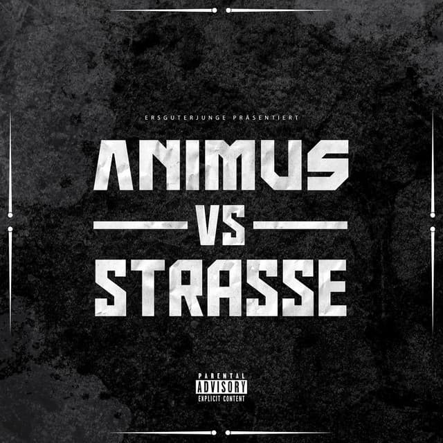 Animus VS Strasse