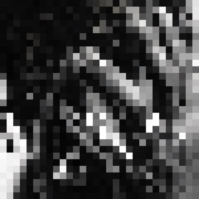 Everyday (feat. Rod Stewart, Miguel & Mark Ronson)