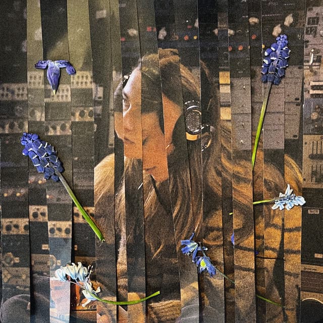 beholder mit tøj på