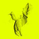 Skyd Dem Ned (feat. Orgi-E)