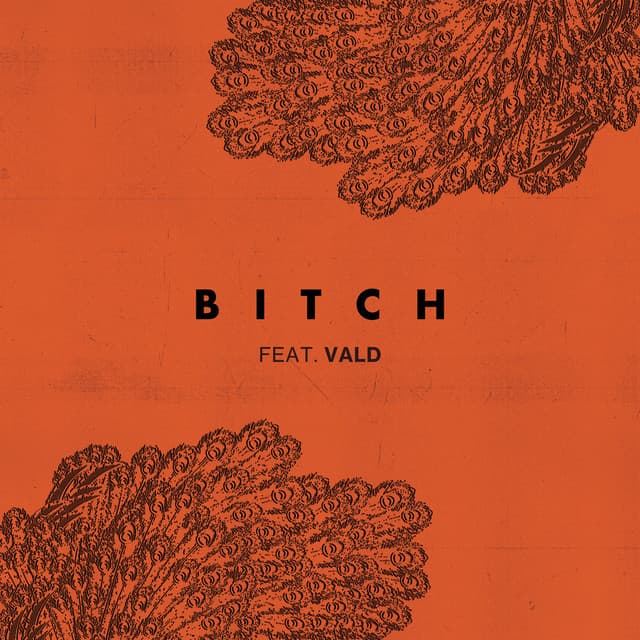 Bitch (feat. Vald)