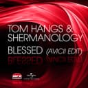 Blessed - Avicii Radio Edit