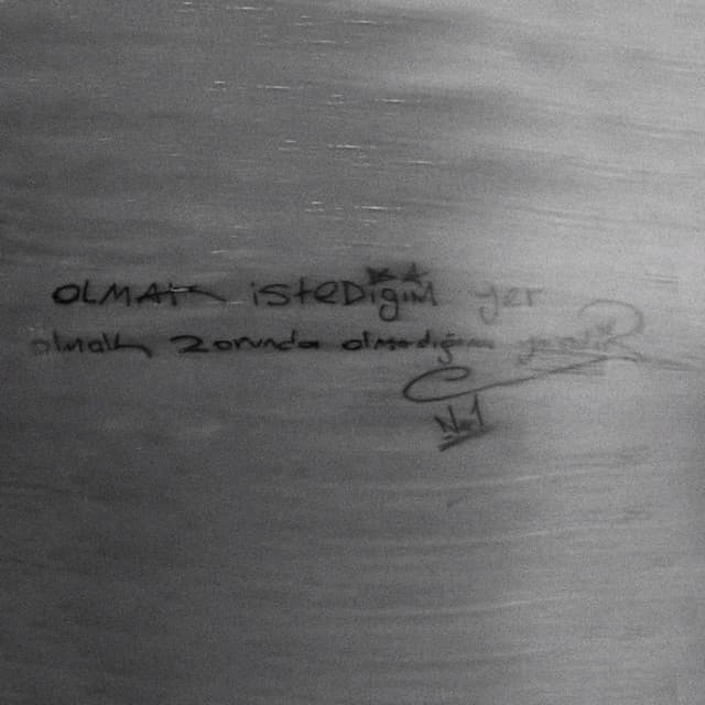 Çiçeklerde Bir Telaş Var