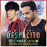 Despacito 緩緩 - Mandarin Version