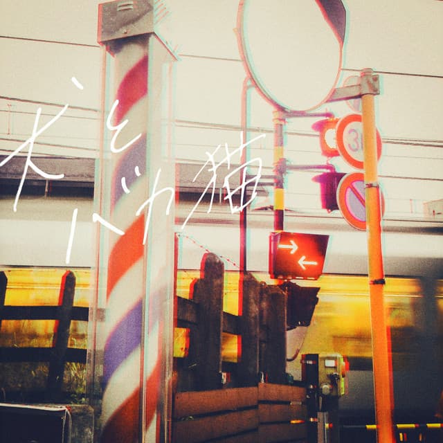 Dogs and Stupid Cats