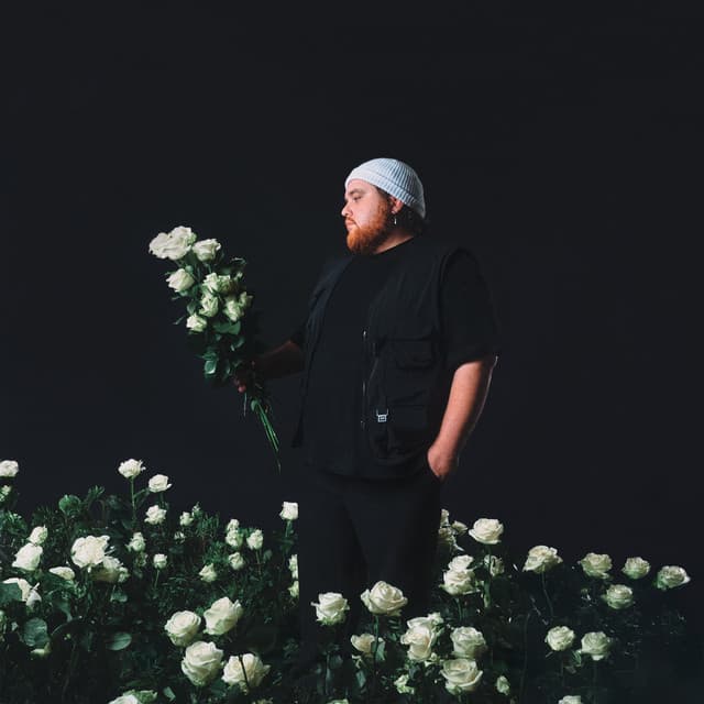 Vielleicht Vielleicht