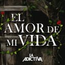 El Amor de Mi Vida