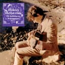 En midsommarnattsdröm