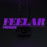Feelar