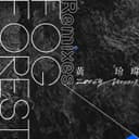 Fog Forest - Scott Damn Remix