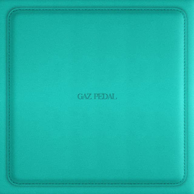 GAZ PEDAL