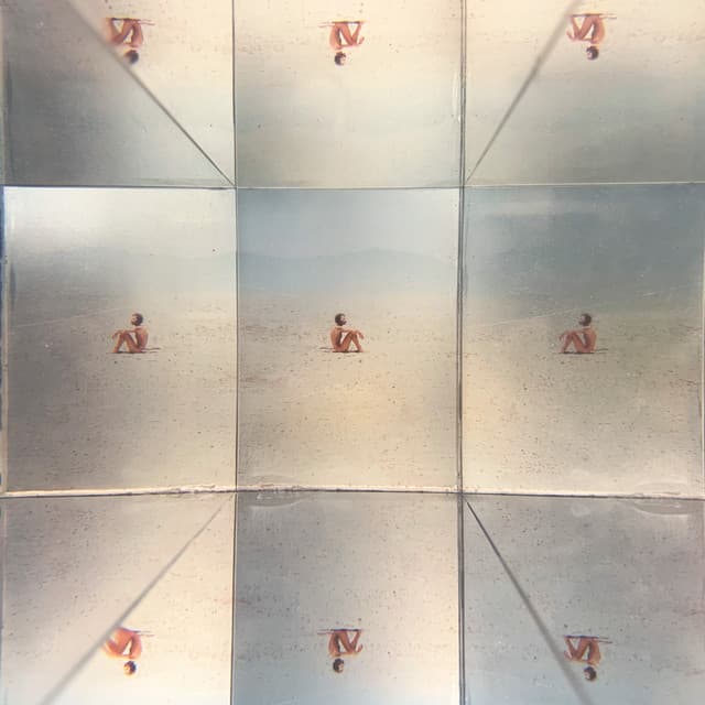 El Polvo de los Días Raros