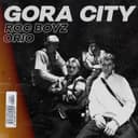 Gora City