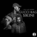 Gucci Bag Sikini
