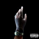 Hånd I Hanske (Brottsmann)