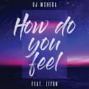 How Do You Feel - Radio Edit