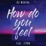 How Do You Feel - Radio Edit