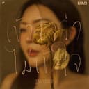 เข้าใจว่าไม่เข้าใจ (INVERTED)