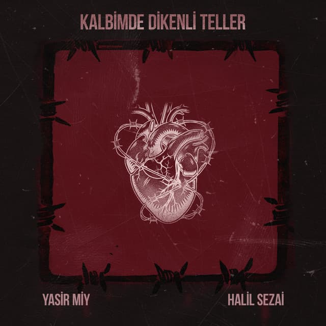 Kalbimde Dikenli Teller