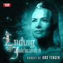 Ludvig Og Julemanden