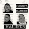 Malunde (feat. Springle)