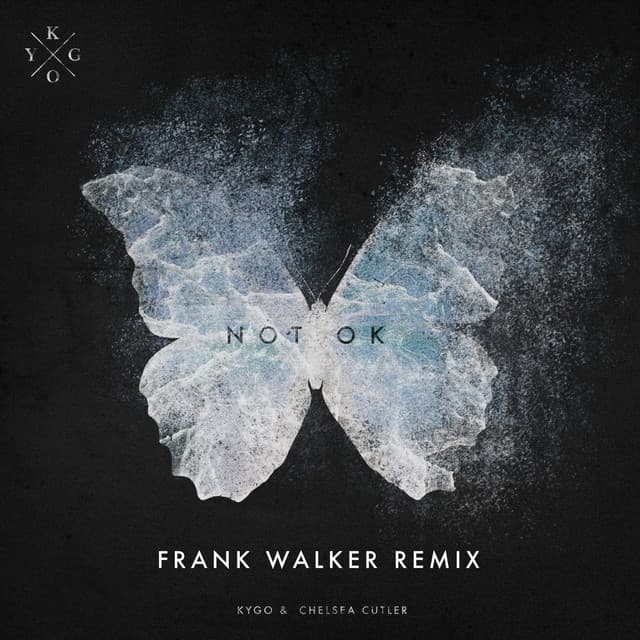 Not Ok - Frank Walker Remix