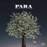 Para (feat. ATYPISK)
