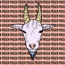PASSA PÅSEN
