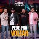Pede Pra Voltar