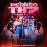 PERREO TH 7