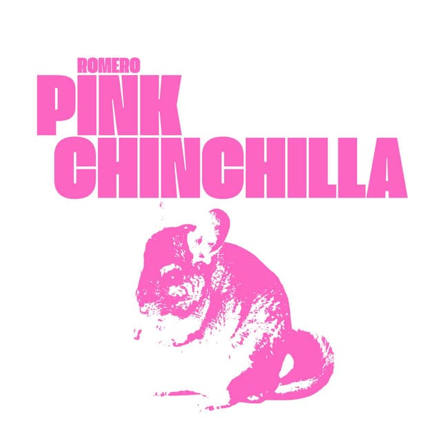 Pink Chinchilla
