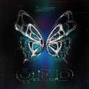 ไม่ไปไหน (Ghost)