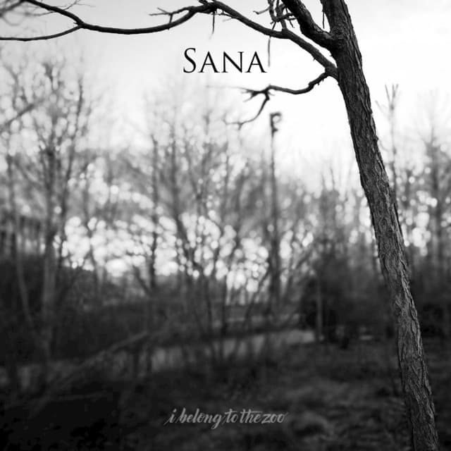 Sana - Single Version