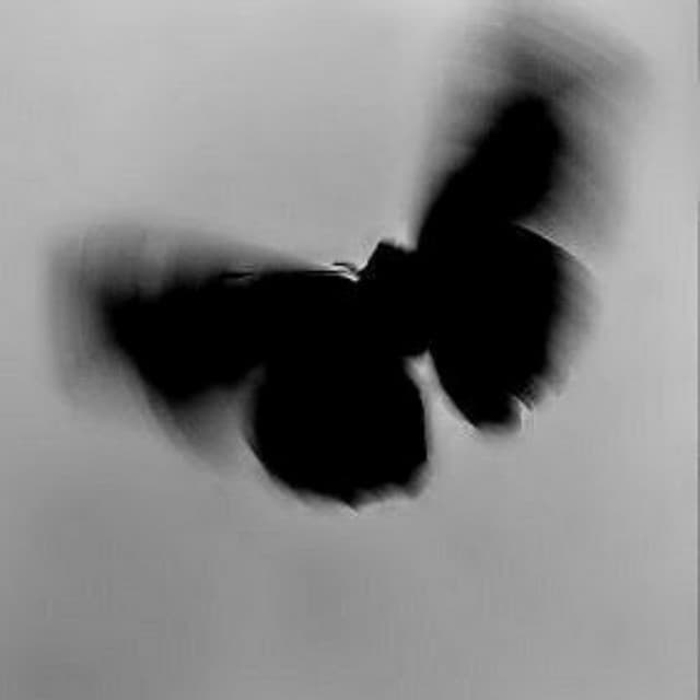 Şarkılar Sokaklara Ait