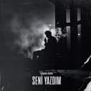 Seni Yazdım