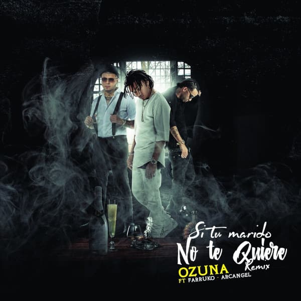 Si No Te Quiere Remix (feat. Arcangel & Farruko)