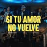 Si Tu Amor No Vuelve