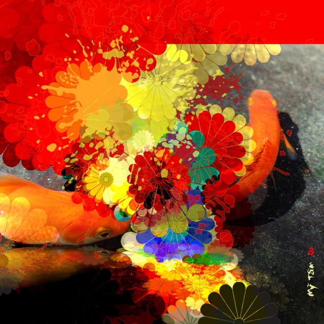 Như Một Giấc Mơ