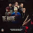 Te Boté - Remix