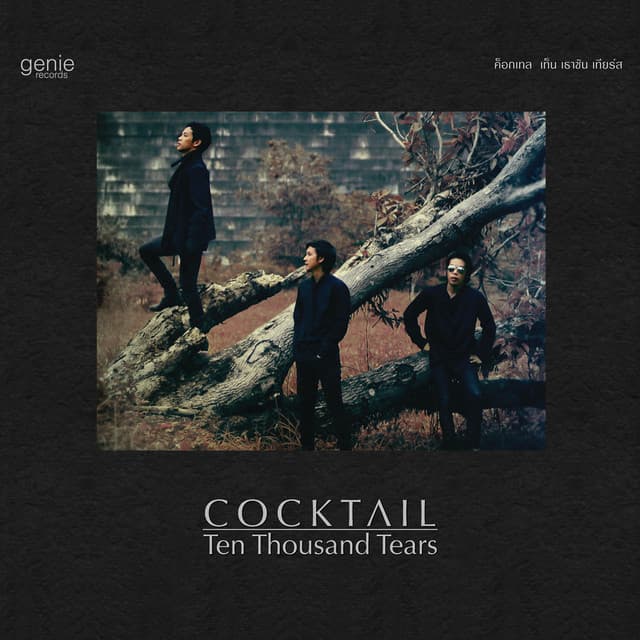 งานเต้นรำในคืนพระจันทร์เต็มดวง (feat. นิว นภัสสร)