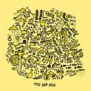 A Wolf Who Wears Sheeps Clothes