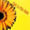 Phút Giao Thừa Lặng Lẽ