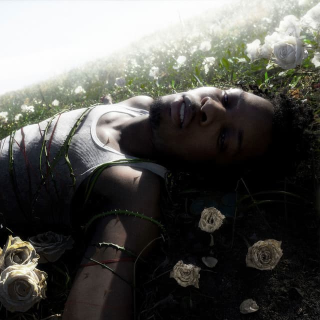 What Are You Waiting For