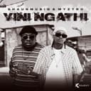 Yini Ngathi (feat. Scotts Maphuma, CowBoii, Kabelo Sings & Mbuxx)